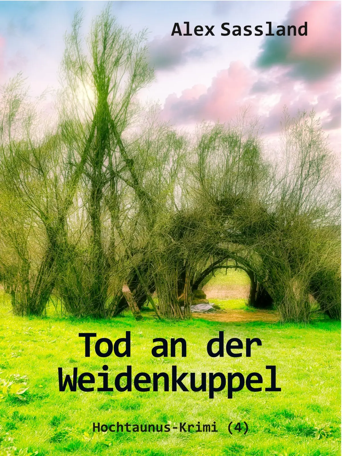 TaWK_cover_v_2-mittel